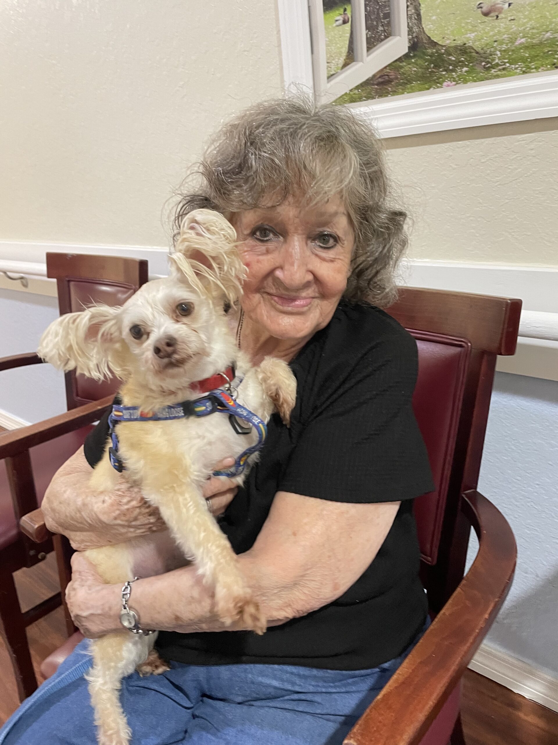 resident at the lakeland assisted living facility